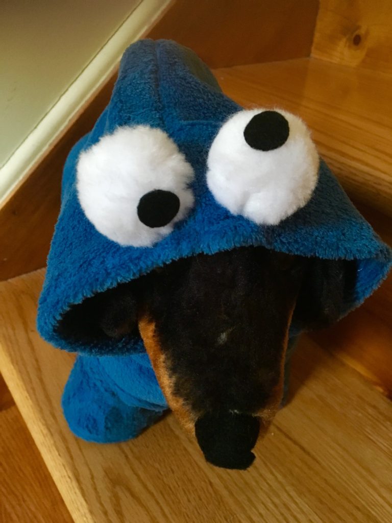 Cookie Monster Dog Halloween Costume