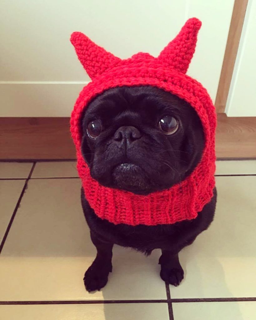 Devil dog hat Halloween costume