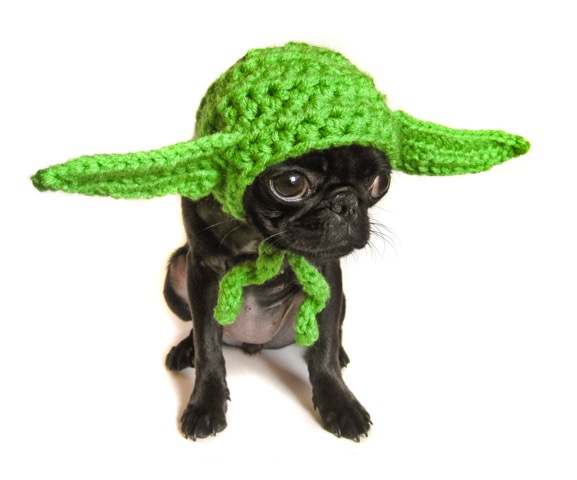 Yoda Dog Hat