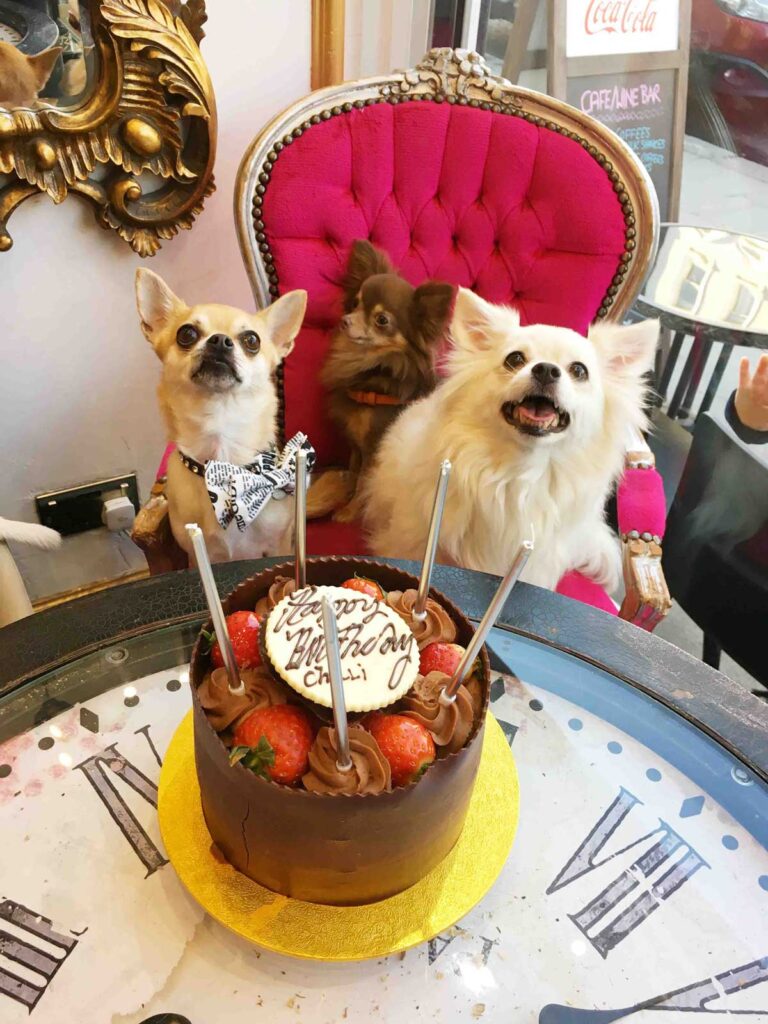 Chilli dog birthday party