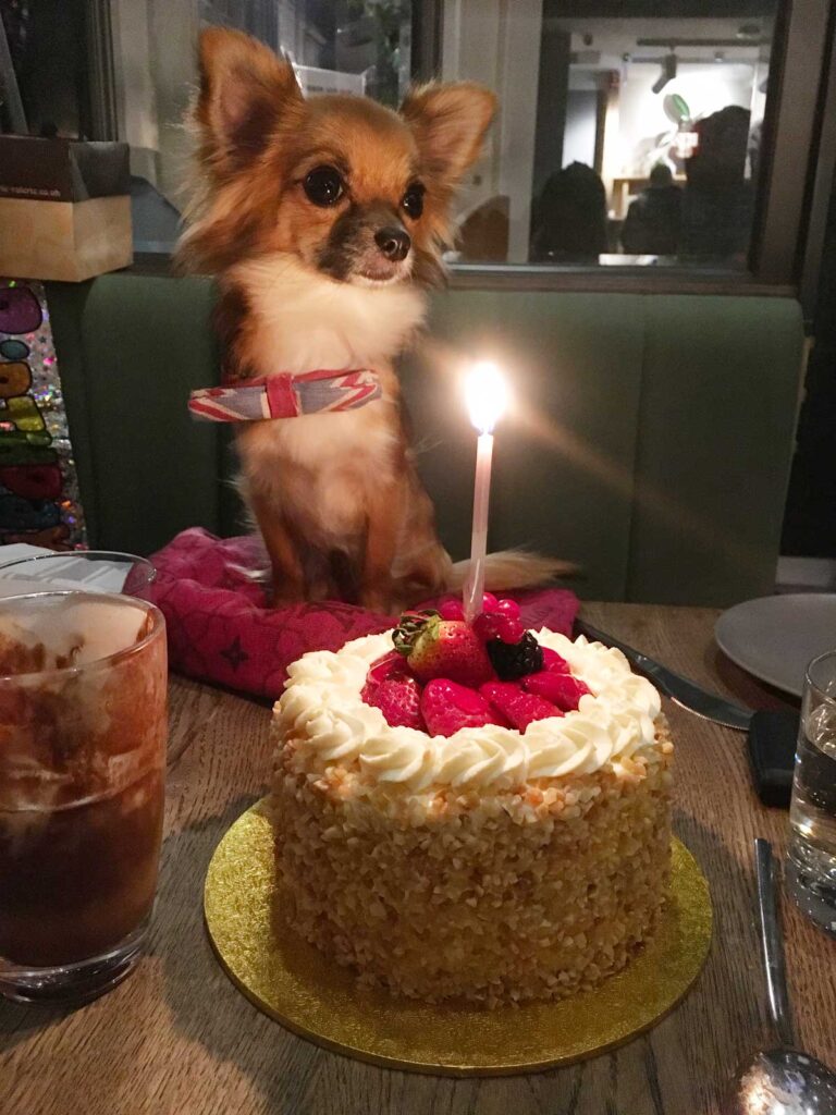 Birthday celebration at Farmacy