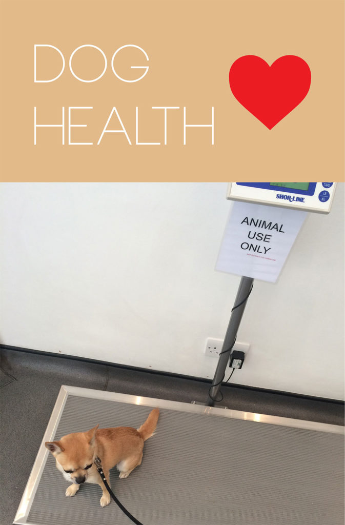 All about dog health